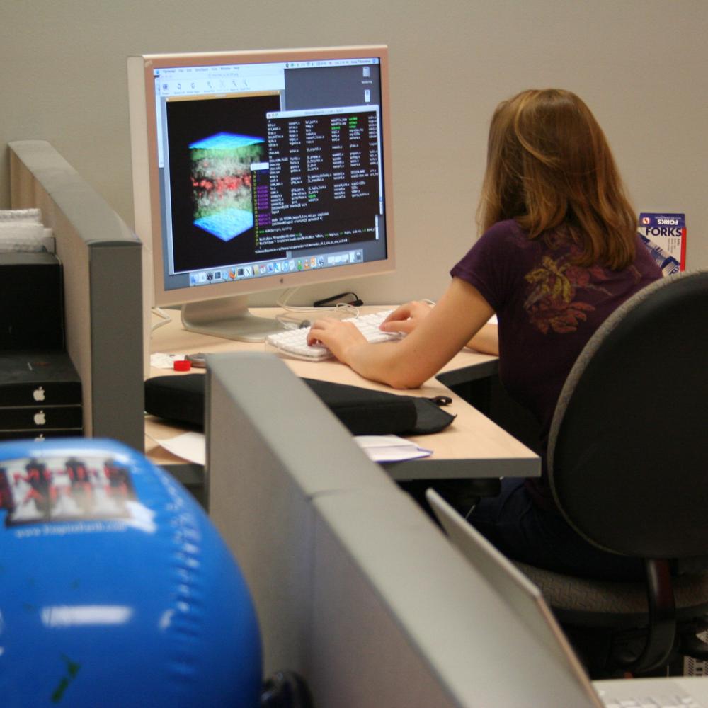 Computer Science Professor