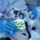 A blue-gloved hand holds a petri dish with greenery under a microscope with overlayed with digital imagery