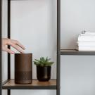 Brown Amazon device on a shelf next to a potted plant. A hand reaches out to touch the top of the device.