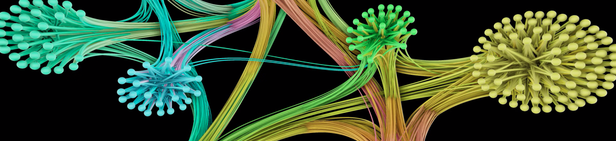 Graphics, Visualization and Human-Computer Interaction